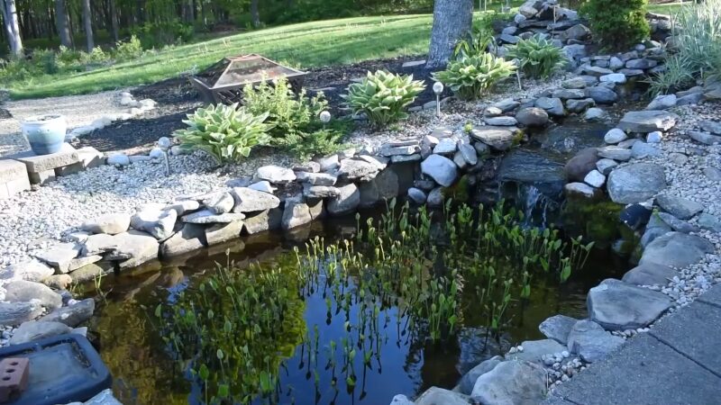 A Landscaped Backyard Pond Surrounded by Rocks and Plants